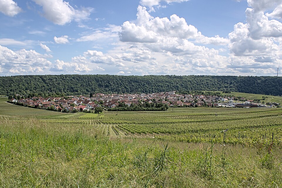 Blick auf Hessigheim