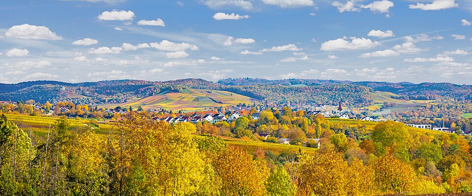 Panoramabild von Ilsfeld