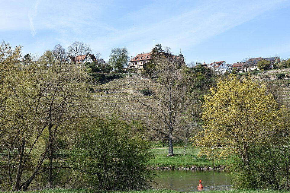 Blick vom gegenüberliegenden Neckarufer nach Kleiningersheim