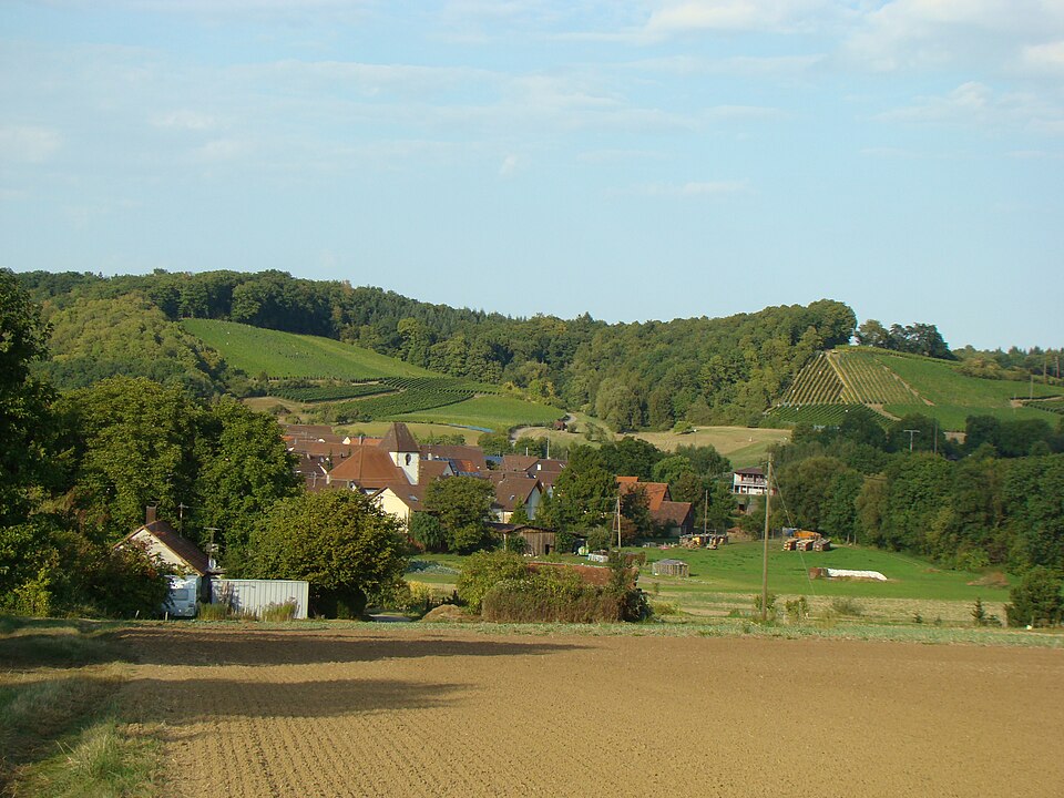 Blick auf Michelbach am Heuchelberg