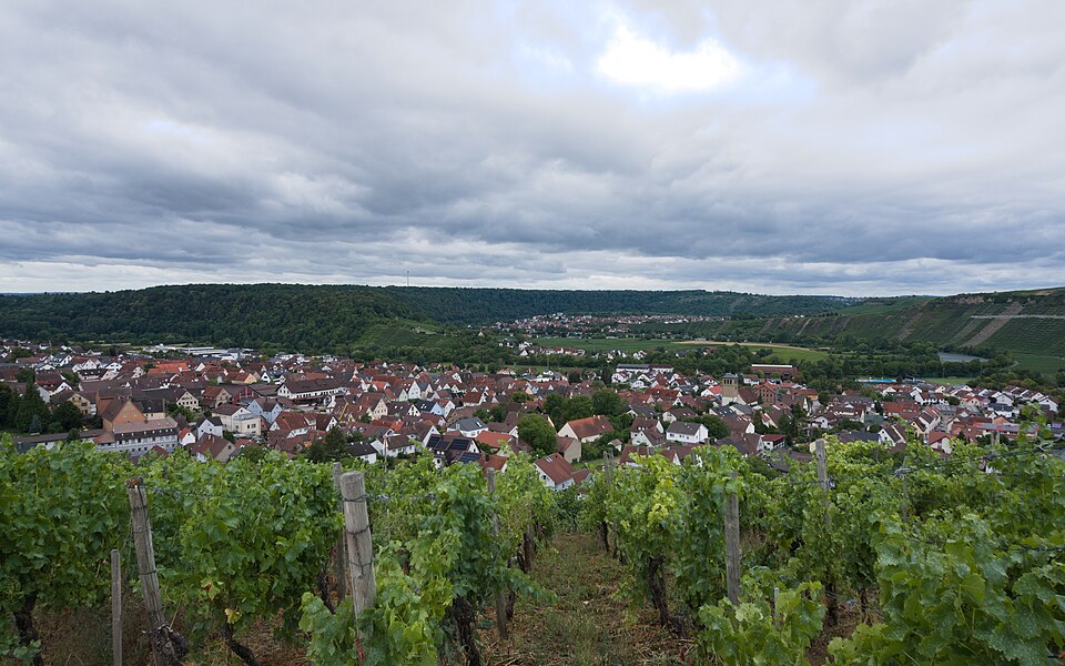 Ortsansicht von Osten. Im Hintergrund Hessigheim